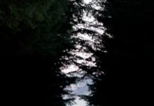 추운 날씨, 야외 운동 시 주의할 점 shallow focus photography of man standing