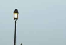 식사 후 카페인 없이 식곤증 해결하는 방법 people walking on park during daytime