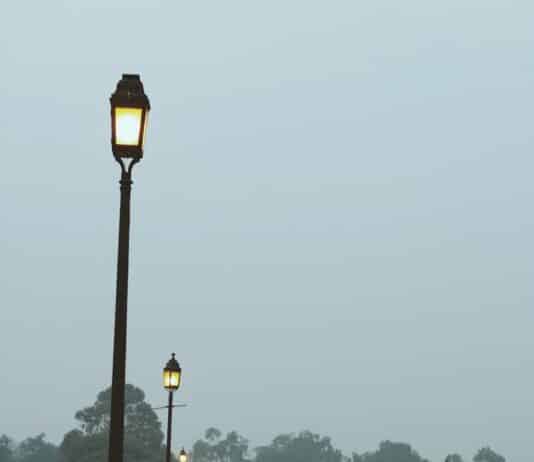 식사 후 카페인 없이 식곤증 해결하는 방법 people walking on park during daytime