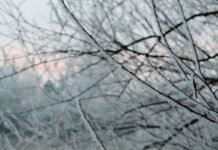 스트레스를 날리는 겨울철 활동 a red fire hydrant sitting on the side of a road