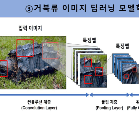 인공지능(AI) 기반으로 거북류 13종 판별 기술 개발