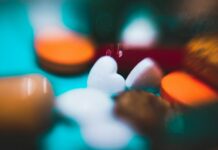 “장‑뇌 연결이 과학으로 풀리다”… 장내 미생물이 감정까지 바꾼다 close-up photo of heart-shape stones