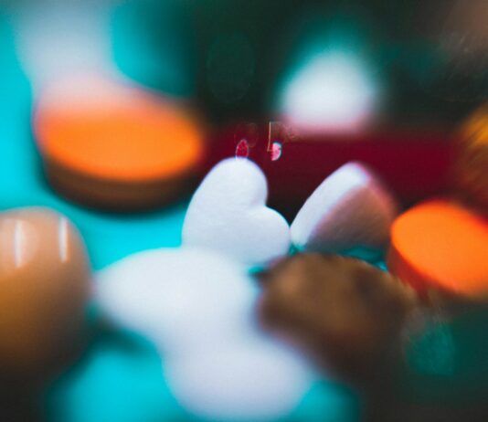 “장‑뇌 연결이 과학으로 풀리다”… 장내 미생물이 감정까지 바꾼다 close-up photo of heart-shape stones