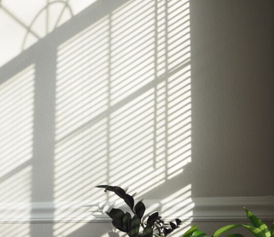 일상이 버겁다면? 만성피로 극복하는 라이프 스타일 변화 A couple of potted plants sitting on top of a shelf